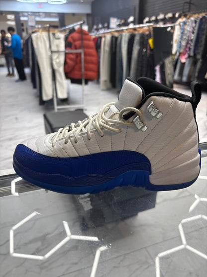 Jordan 12 blueberry USED